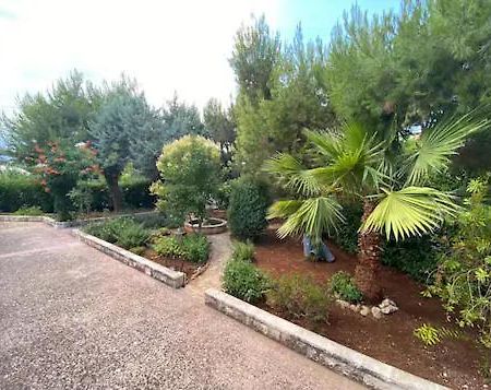 Villa Adelaide Ceglie Messapica Zewnętrze zdjęcie