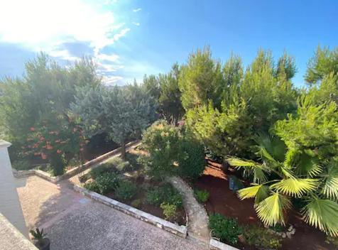Villa Adelaide Ceglie Messapica Zewnętrze zdjęcie